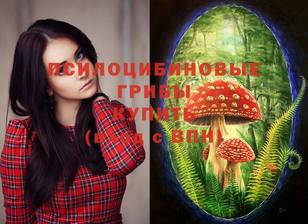 метадон Белоозёрский