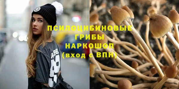метадон Белокуриха