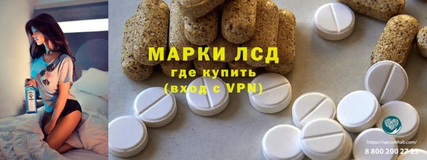 apvp Алзамай