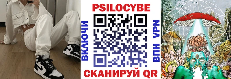 Псилоцибиновые грибы Psilocybe  Коломна 